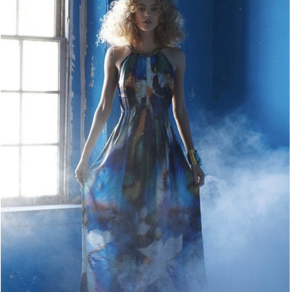 Ranna Gill-Tropicalla beaded maxi dress.